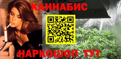 стаф Кулебаки