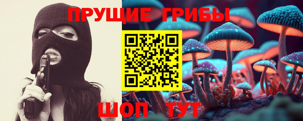 Галлюциногенные грибы прущие грибы Казань